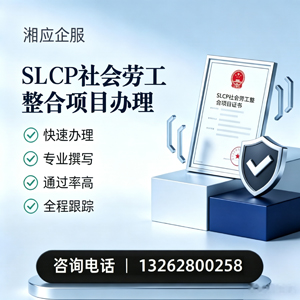 镇江SLCP社会劳工整合项目申报服务