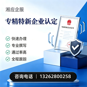 镇江专精特新企业申报服务