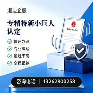 镇江专精特新小巨人申报服务