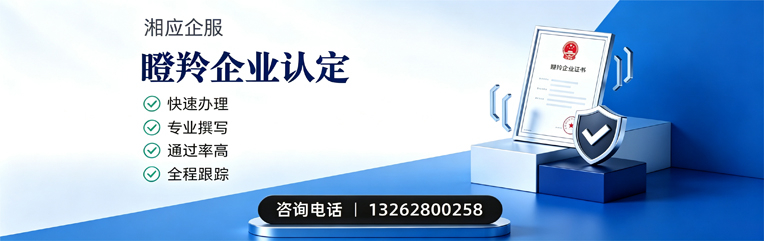 镇江瞪羚企业认定申报服务