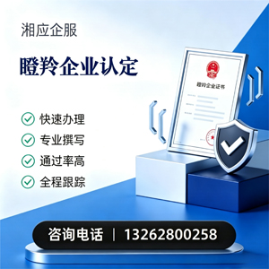 镇江瞪羚企业认定申报服务