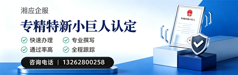 镇江专精特新小巨人申报服务
